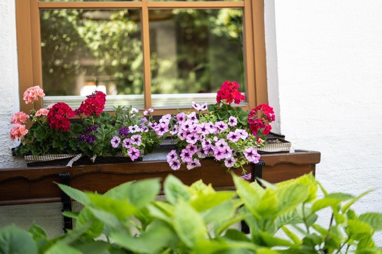 Apartment Salzburg City&Lake Elixhausen Екстериор снимка